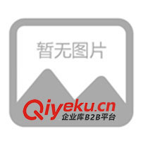 09年春夏休閑情侶裝，運動時尚裝，征全國各地批發商